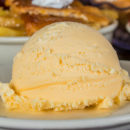 Dish of Vanilla Ice Cream